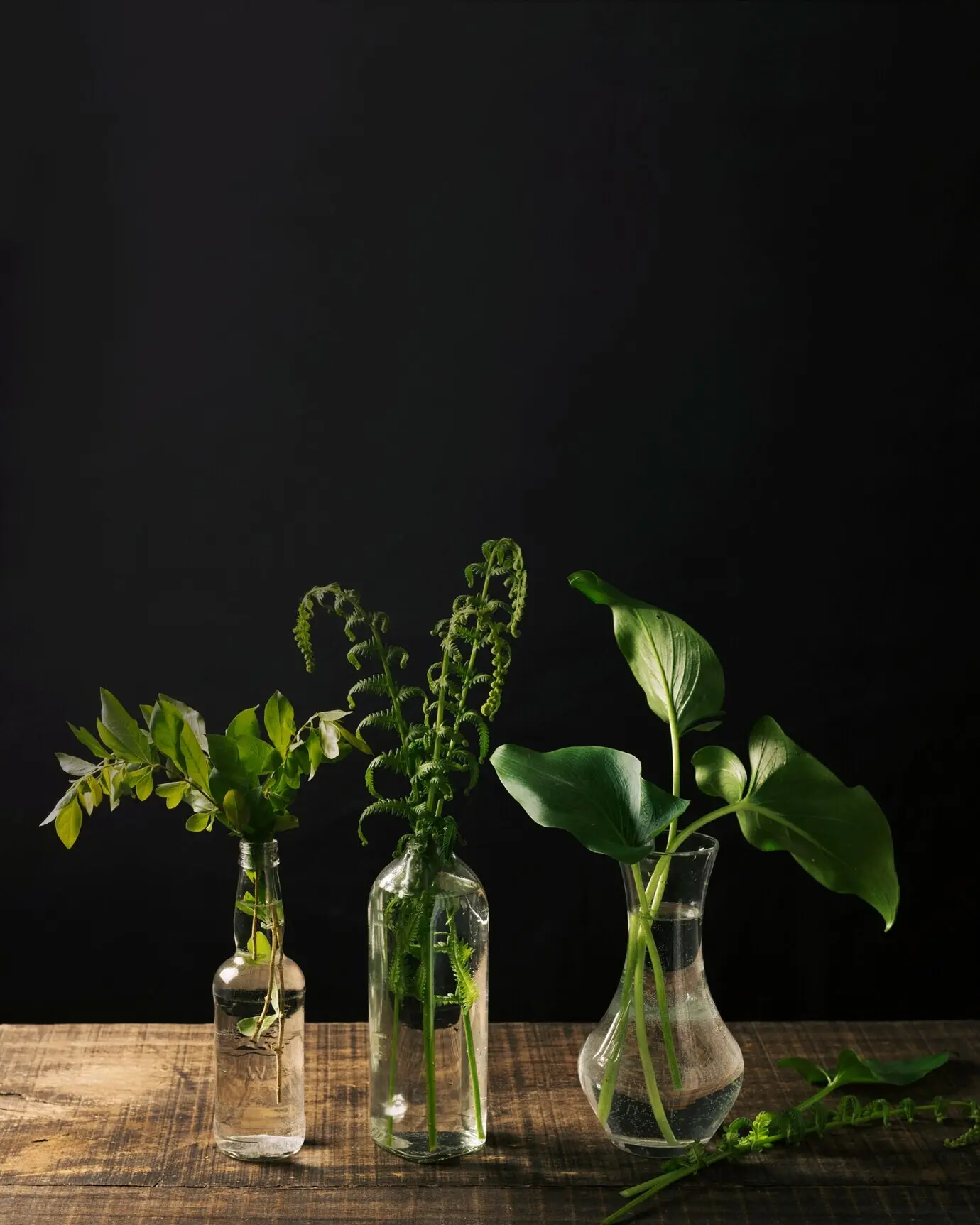 Disposición elegante de jarrones con plantas